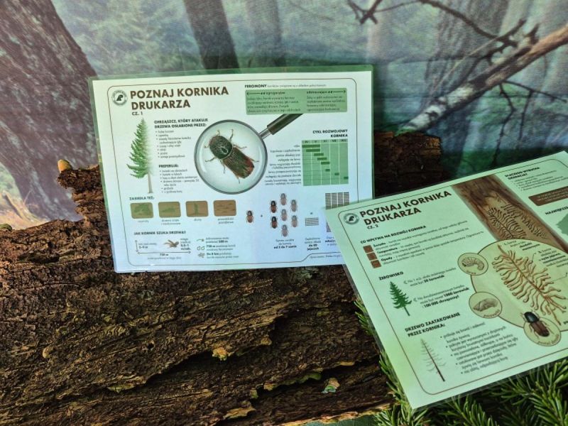 Strefa Myślistwa, Łowiectwa i Leśnictwa